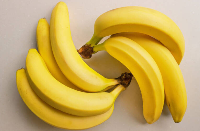 Włókno z bananowca – co to jest? Jakie ma zastosowanie?