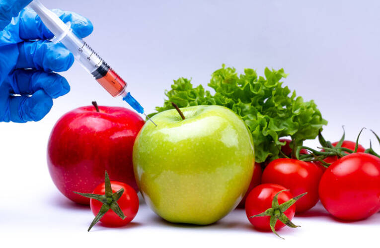 GMO – co to jest? Wady i zalety